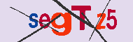 Codigo captcha